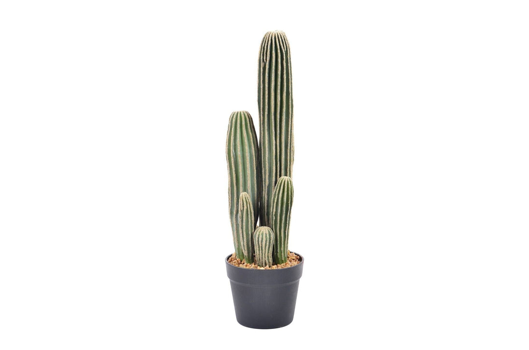 Artificial Plant YF18SP-195741 W15 X H59Cm