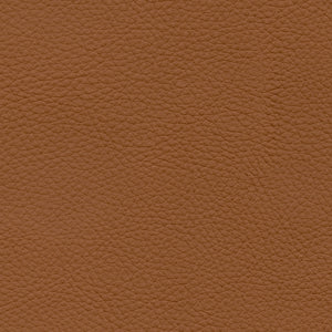 NAPPA 5903 CAMEL